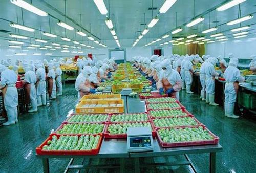 互聯網開啟山東食品加工新模式