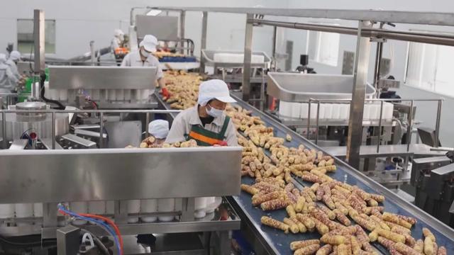 吉林省預制菜產業 乘政策東風，駛入高質量發展快車道