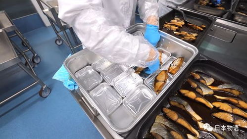 日本中小學(xué)午餐背后的科技與匠心 食品加工廠的標(biāo)準(zhǔn)化生產(chǎn)探秘